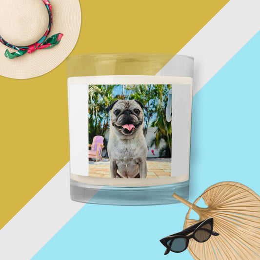 Tudi the Adventure Pug Glass jar soy wax candle