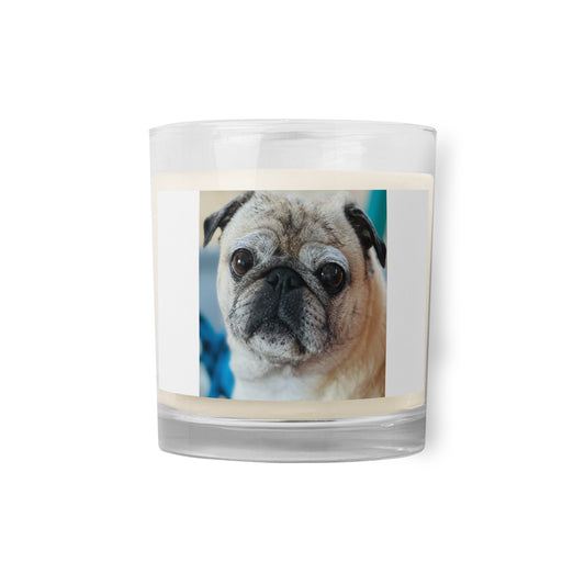 Tudi the Adventure Pug Glass jar soy wax candle