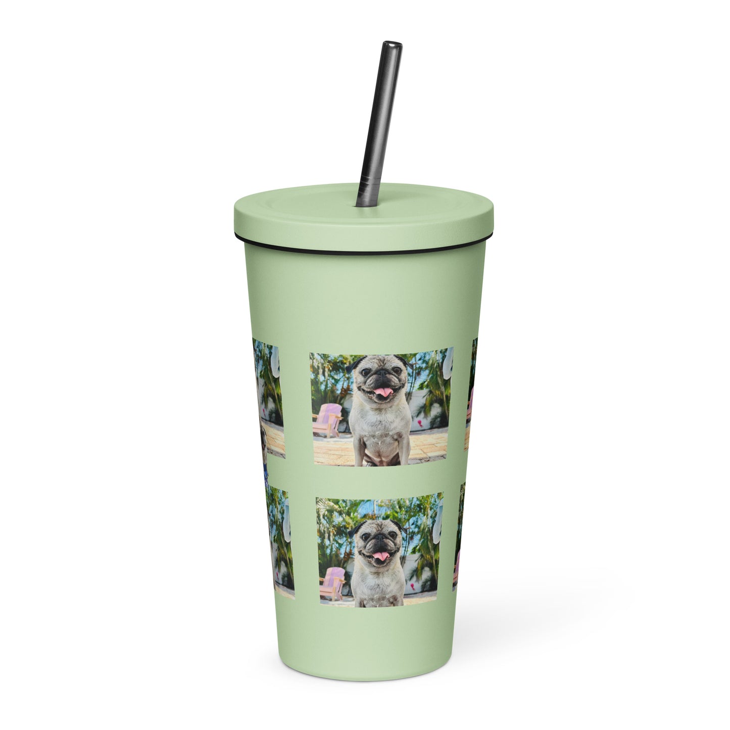 Tudi the Adventure Pug Insulated tumbler with a straw