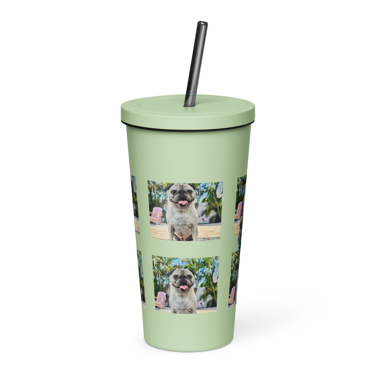 Tudi the Adventure Pug Insulated tumbler with a straw