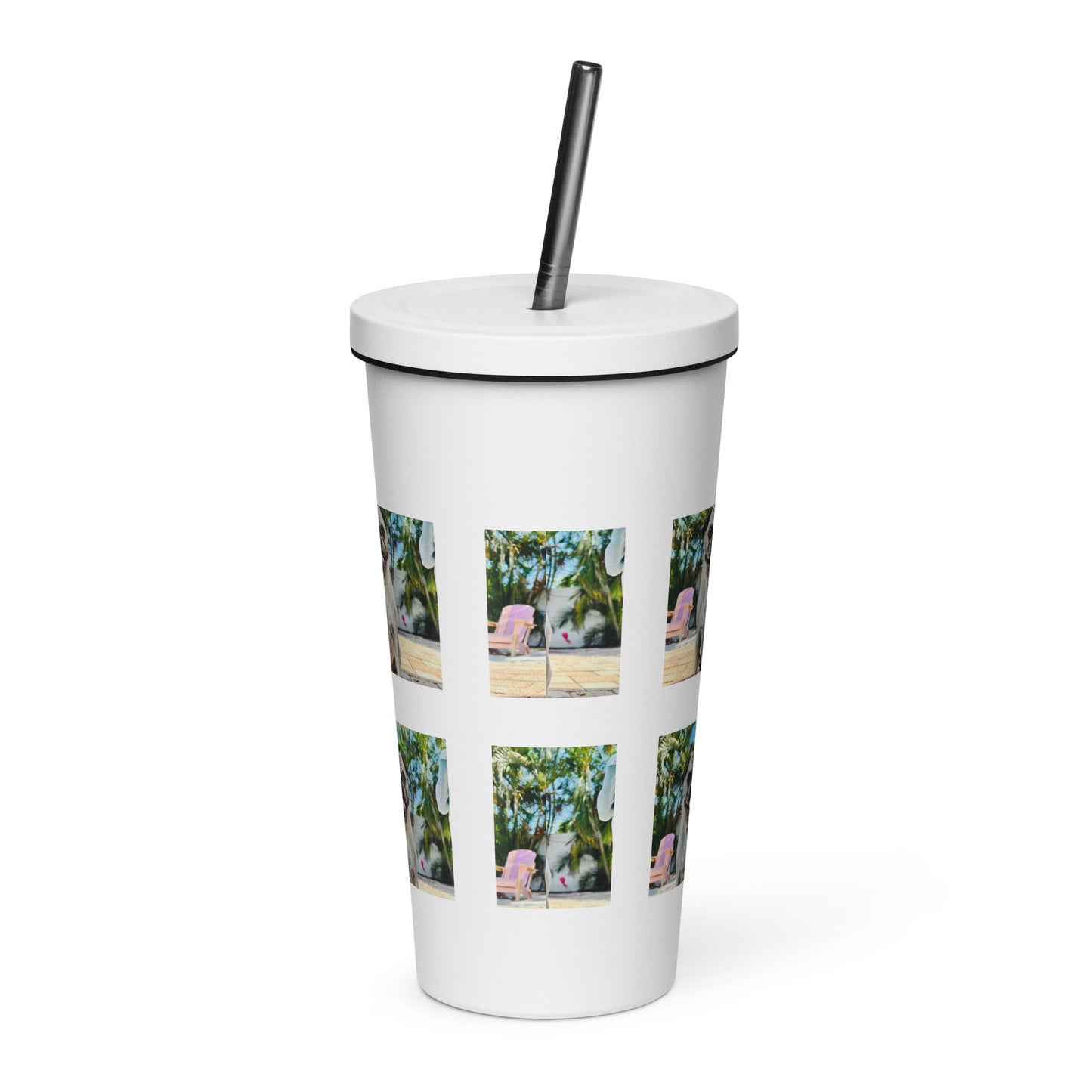 Tudi the Adventure Pug Insulated tumbler with a straw