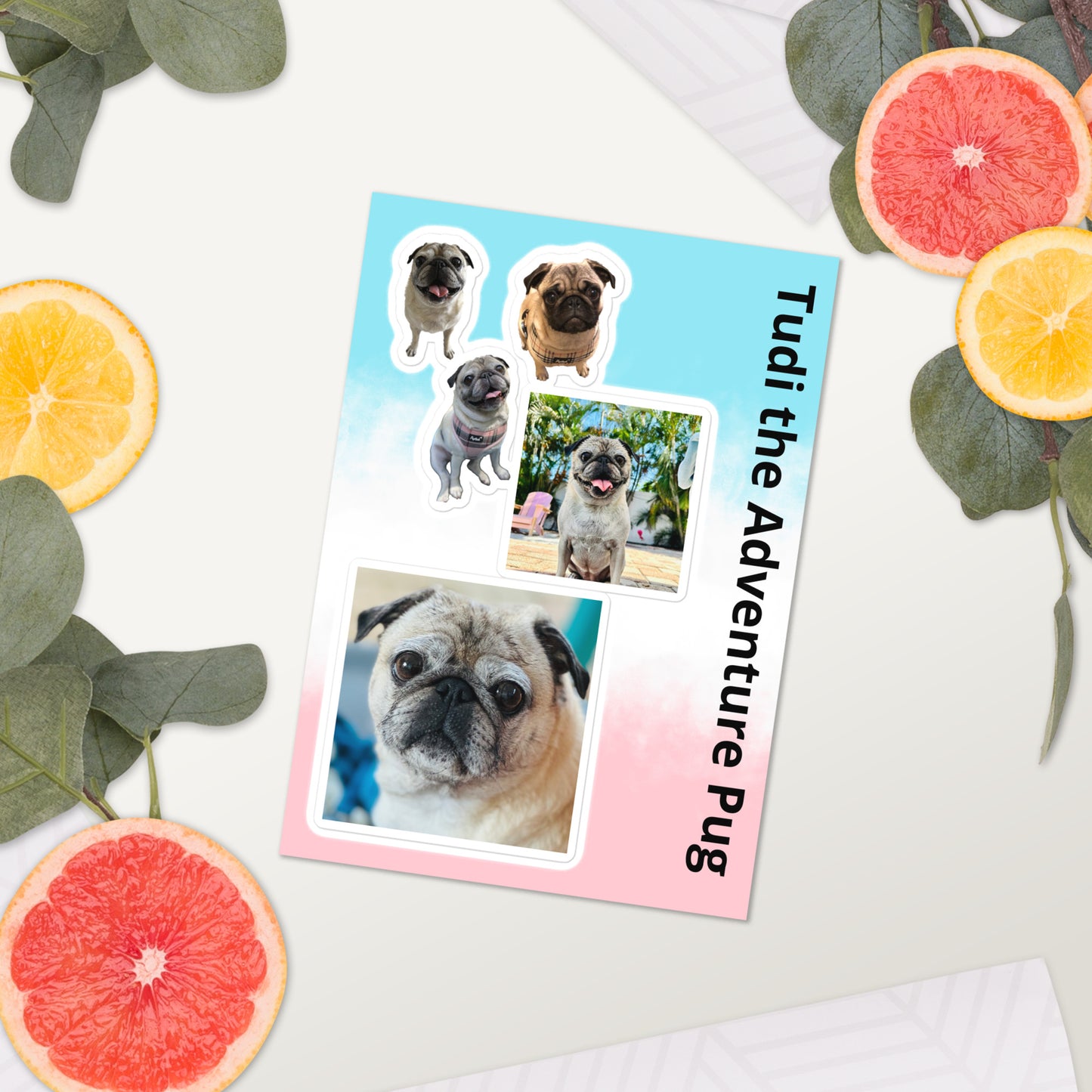 Tudi the Adventure Pug Sticker sheet