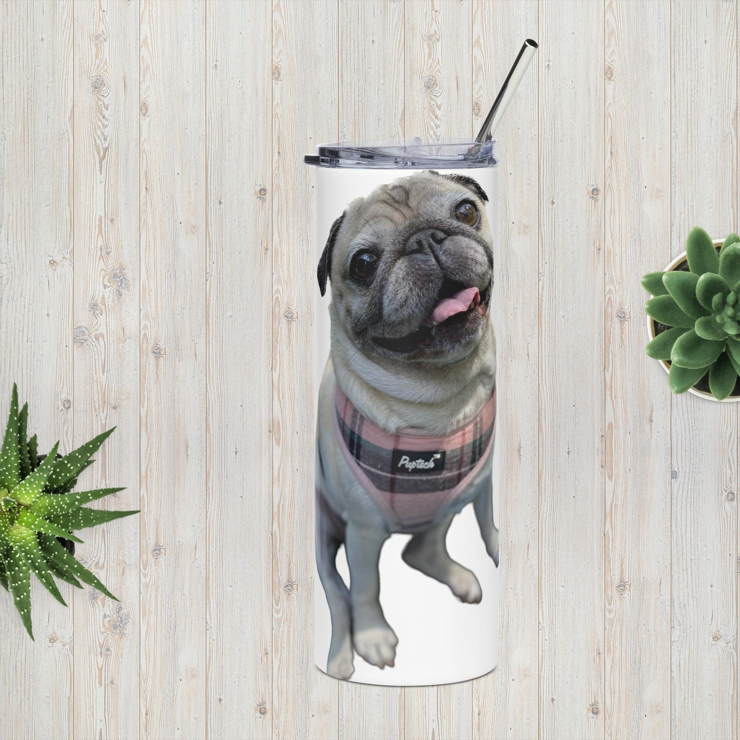 Tudi the Adventure Pug Stainless steel tumbler