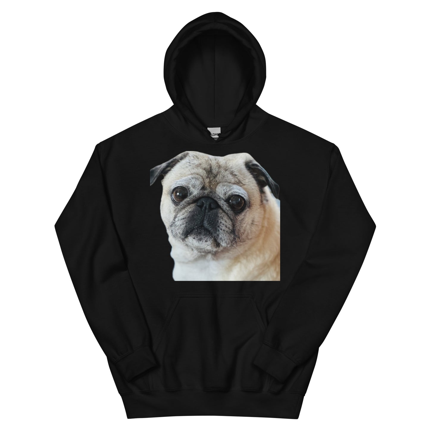 Tudi the Adventure Pug Unisex Hoodie