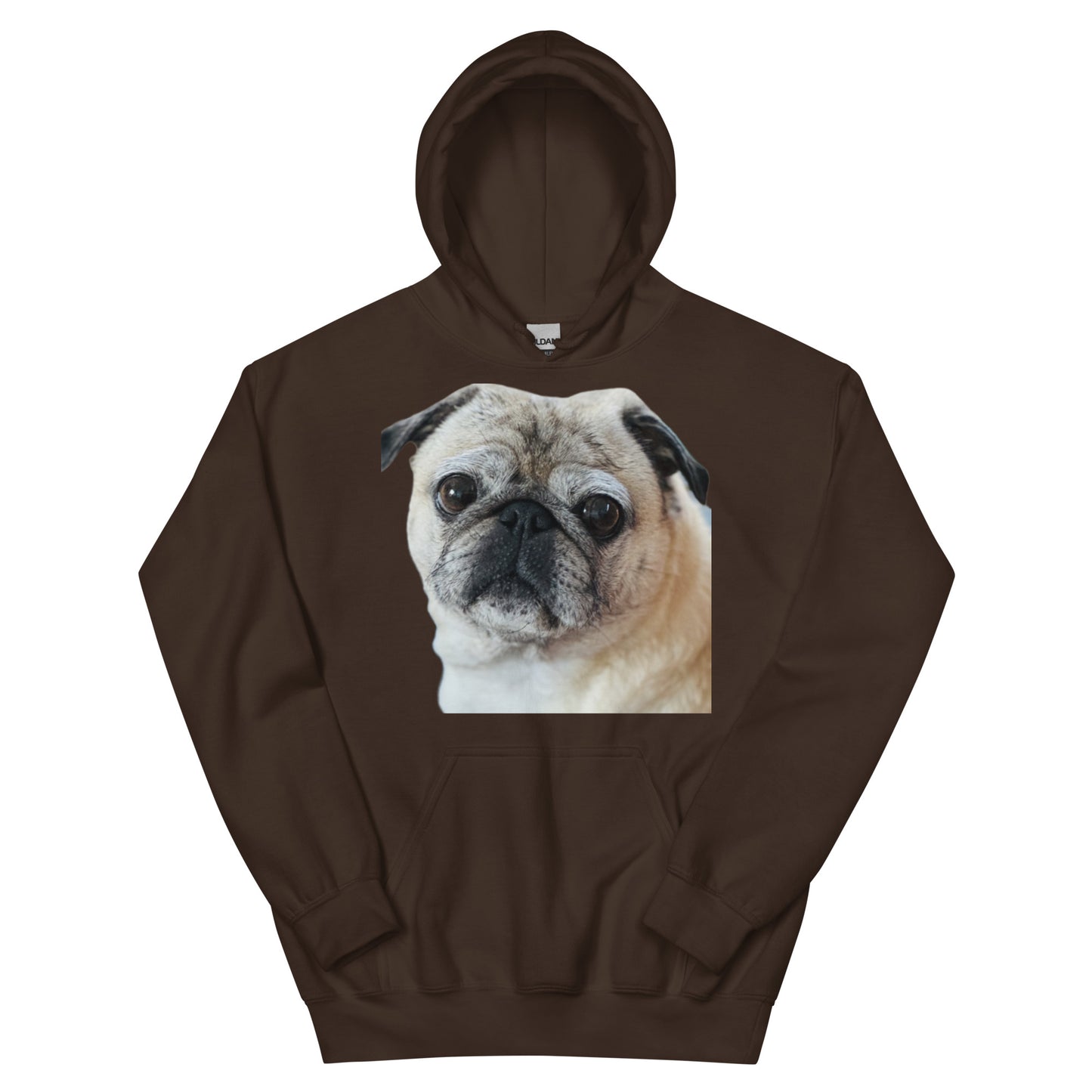 Tudi the Adventure Pug Unisex Hoodie