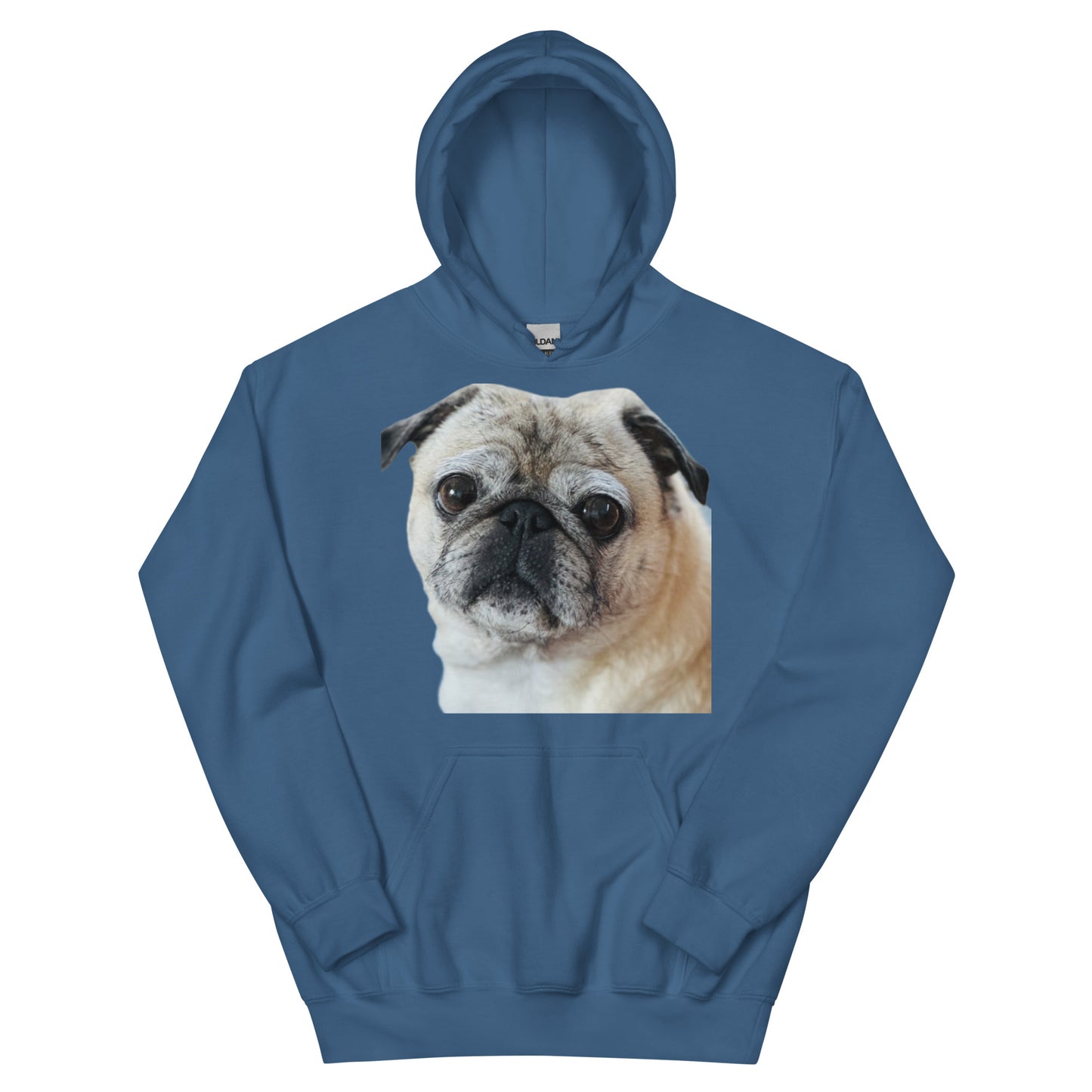 Tudi the Adventure Pug Unisex Hoodie