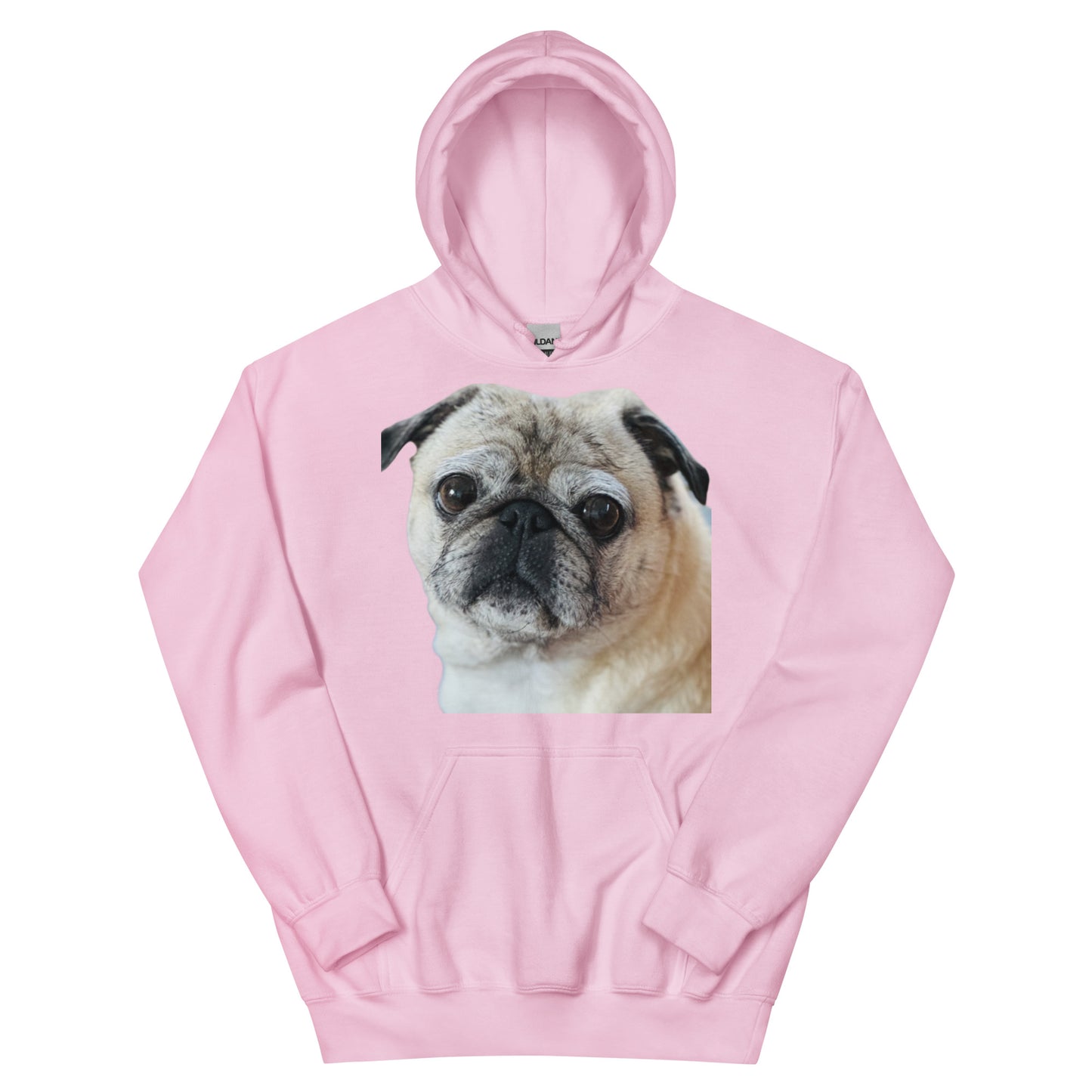 Tudi the Adventure Pug Unisex Hoodie