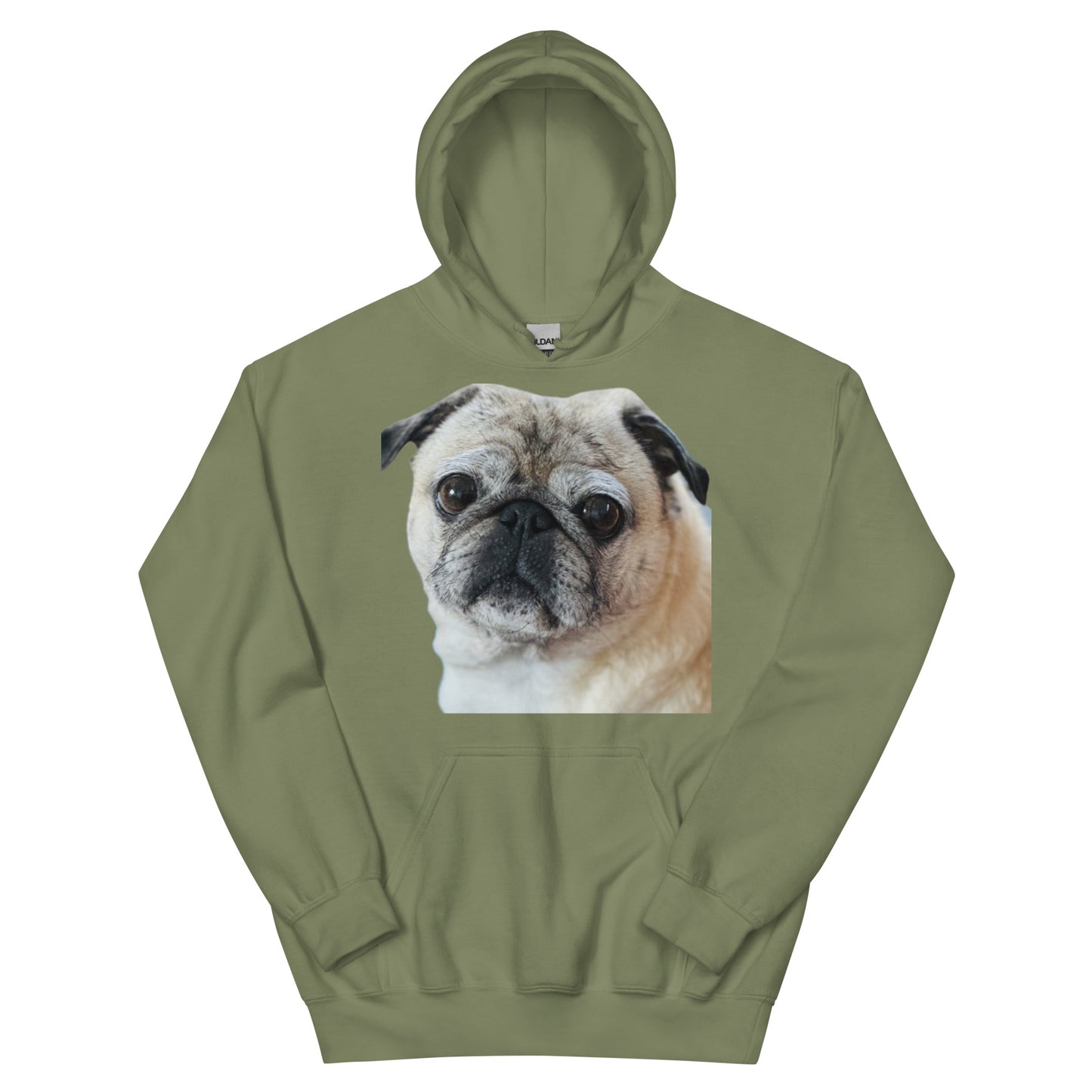 Tudi the Adventure Pug Unisex Hoodie