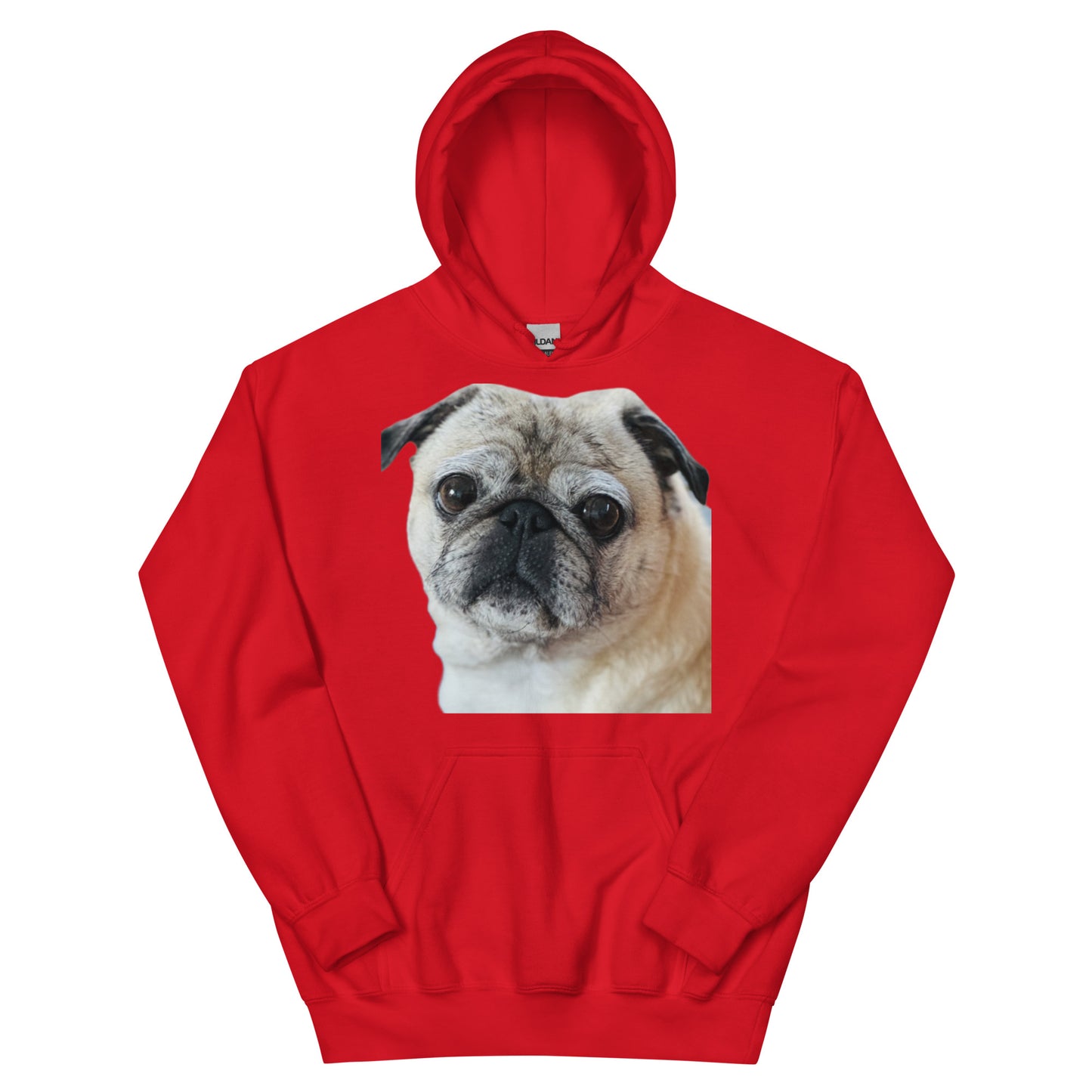 Tudi the Adventure Pug Unisex Hoodie