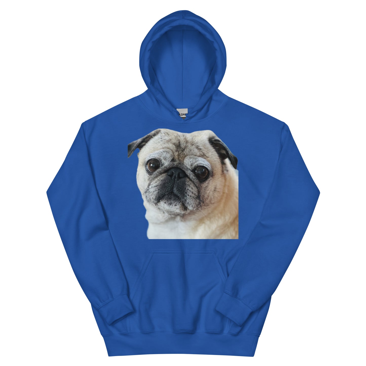 Tudi the Adventure Pug Unisex Hoodie